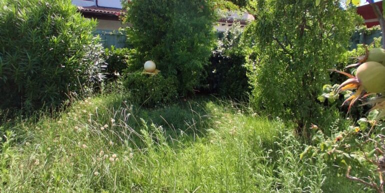 5a